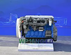 包含里程碑夜那不勒斯强势反弹；NBA总决赛关键时刻刷纪录；管理层满意；球队文化再被提及的词条