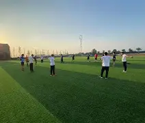 纽卡斯尔最近战绩