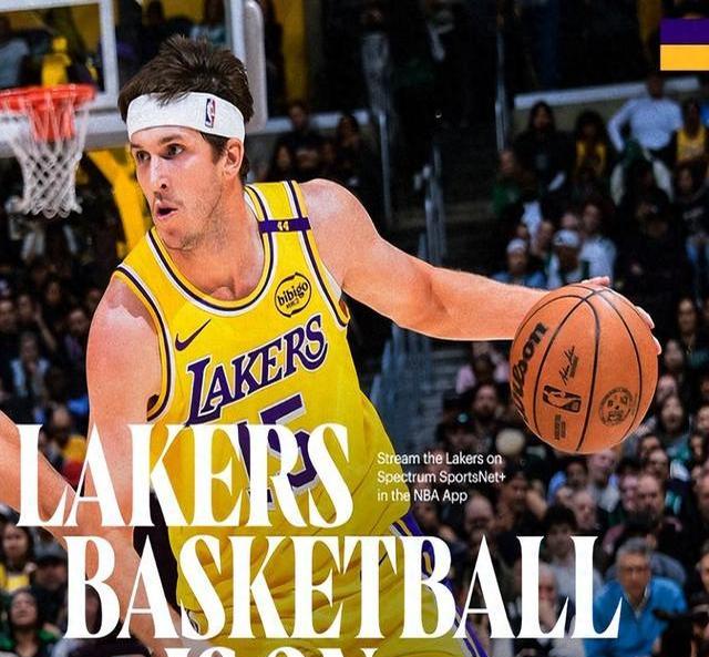 宏康体育篮球架